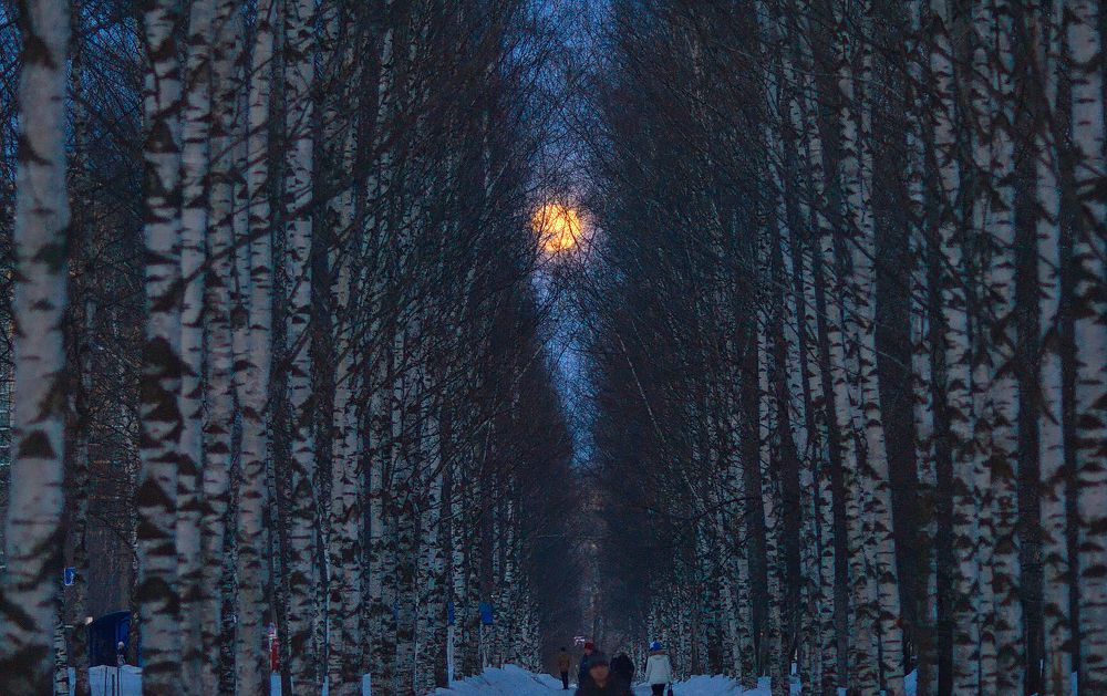 Photograph by Валерий Сарак