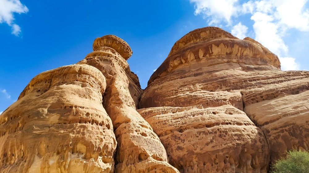 Фотография автора Venus Molina