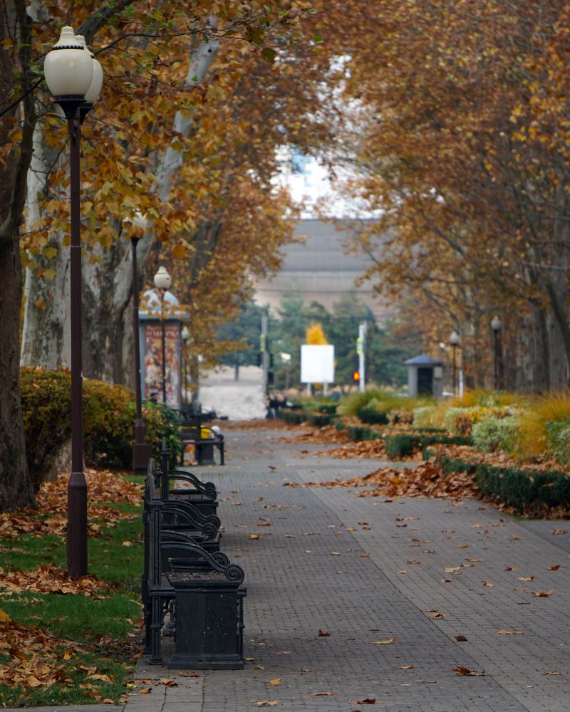 Photograph by Дмитрий Лобанов