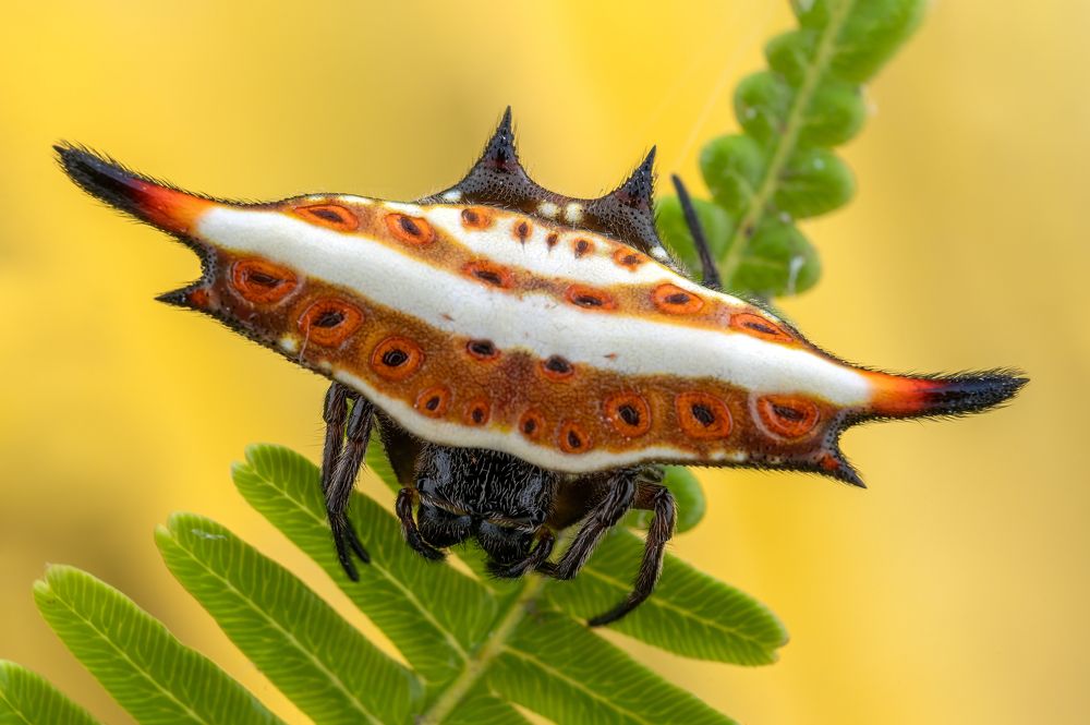 Photograph by Anson AS