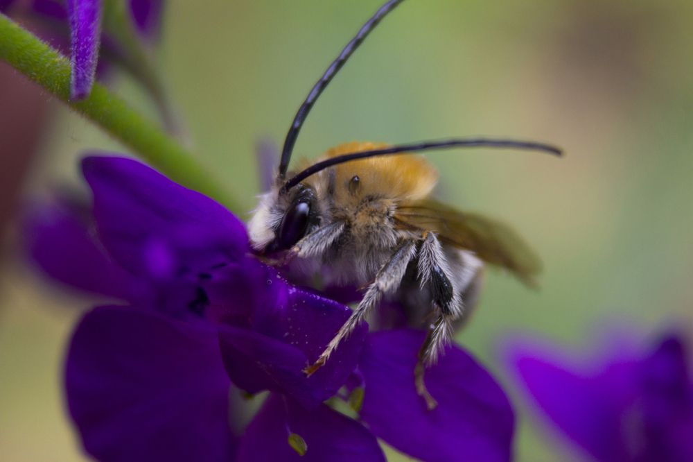 Photograph by Артур