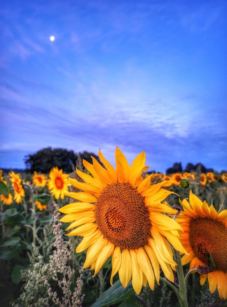 Photograph by Владимир Шаруба