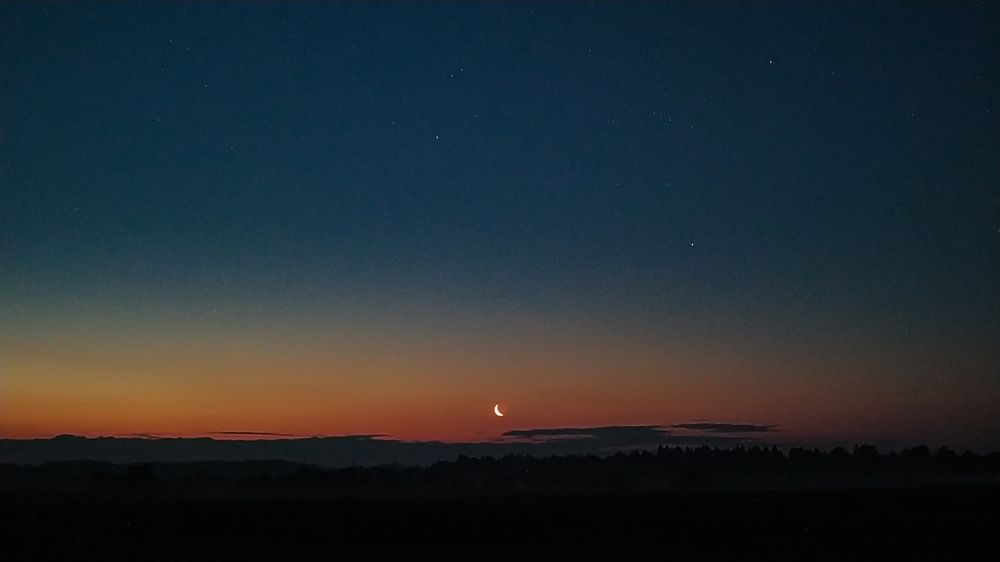 Photograph by Виталий Грачёв