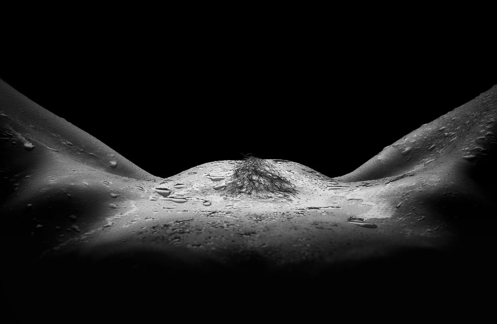 Фотография автора Vyacheslav Lozhkin