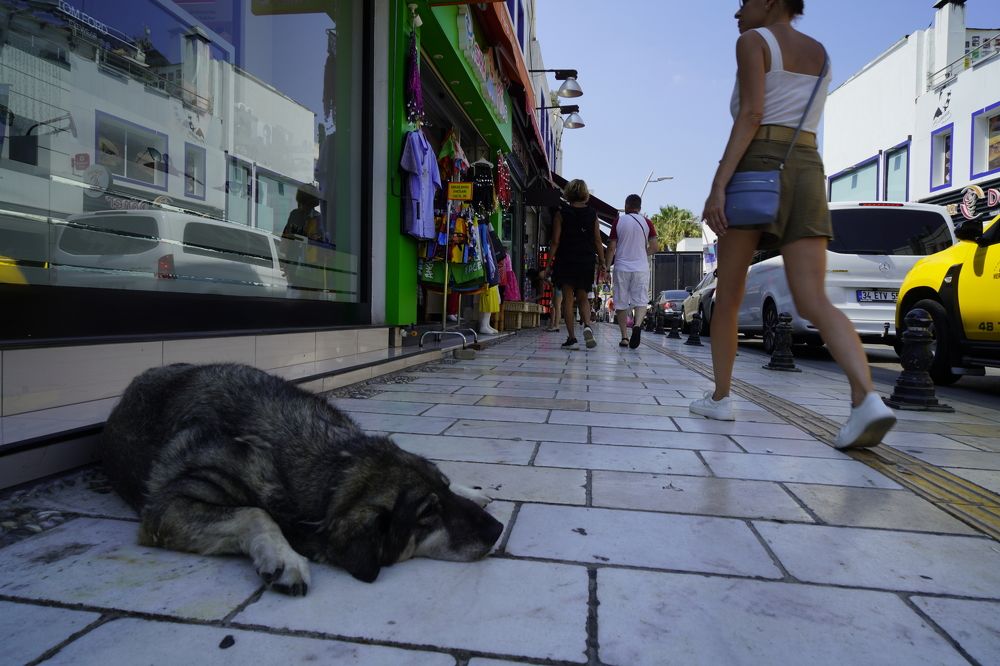 Photograph by Антон Ягунов