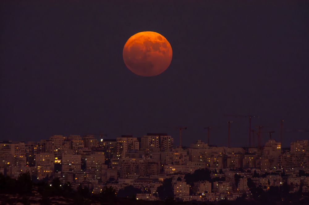 Photograph by esti lahat