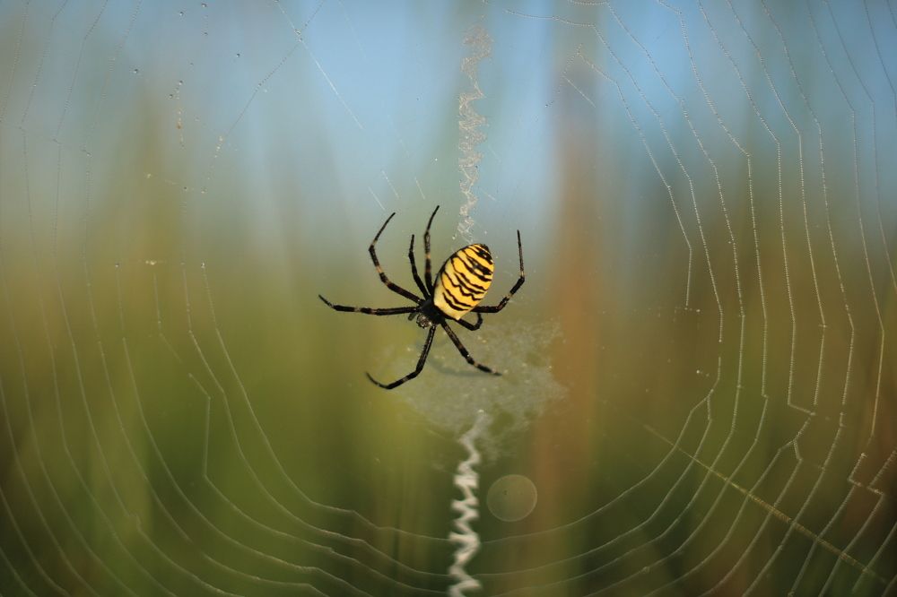 Photograph by Инна Карасева