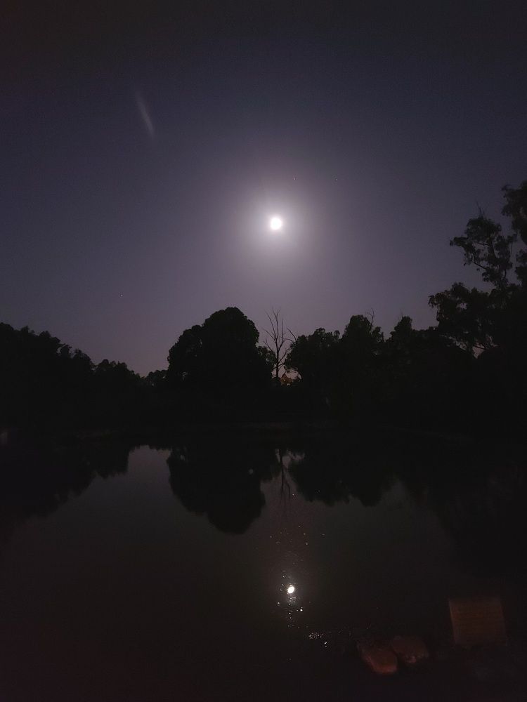 Photograph by esti lahat