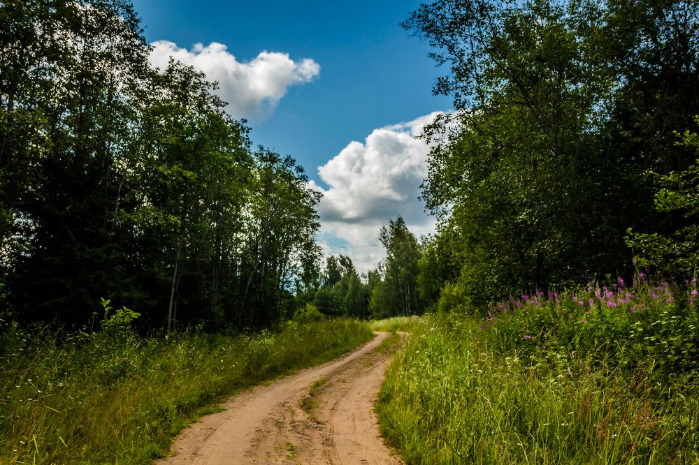 Photograph by Игорь Сидун