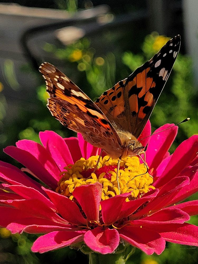 Photograph by Елена Иванова