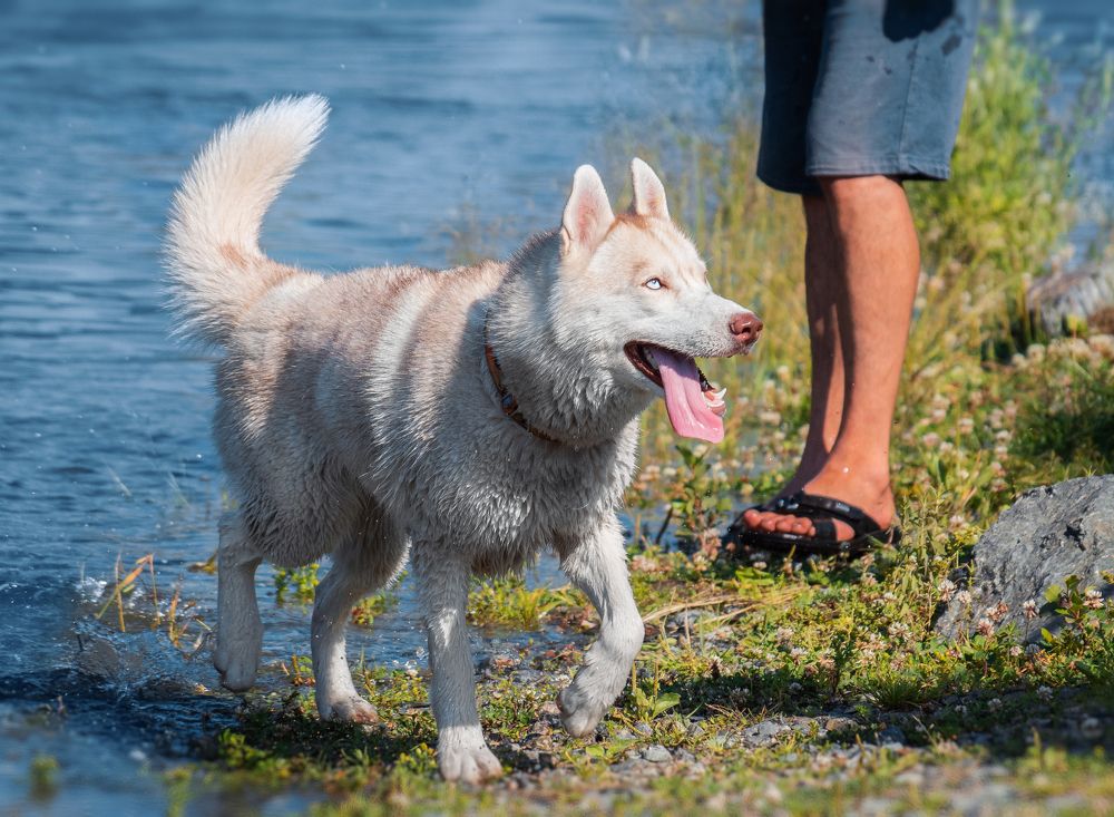 Photograph by Валерия Васина