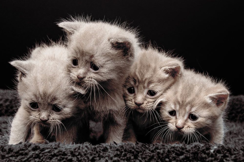 Photograph by Захаров Вячеслав