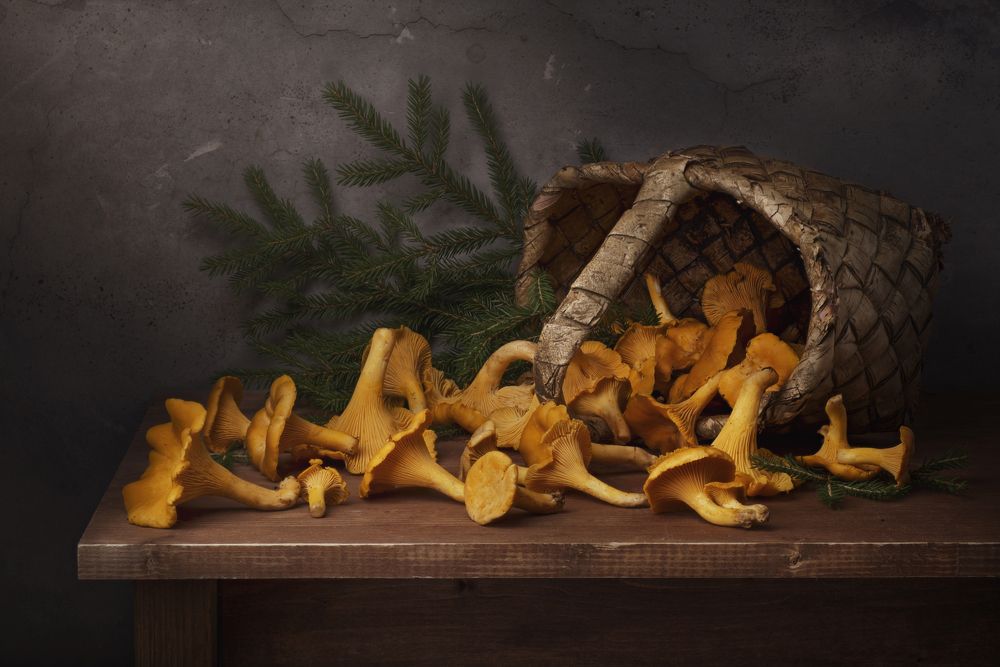 Photograph by Максим Вышарь