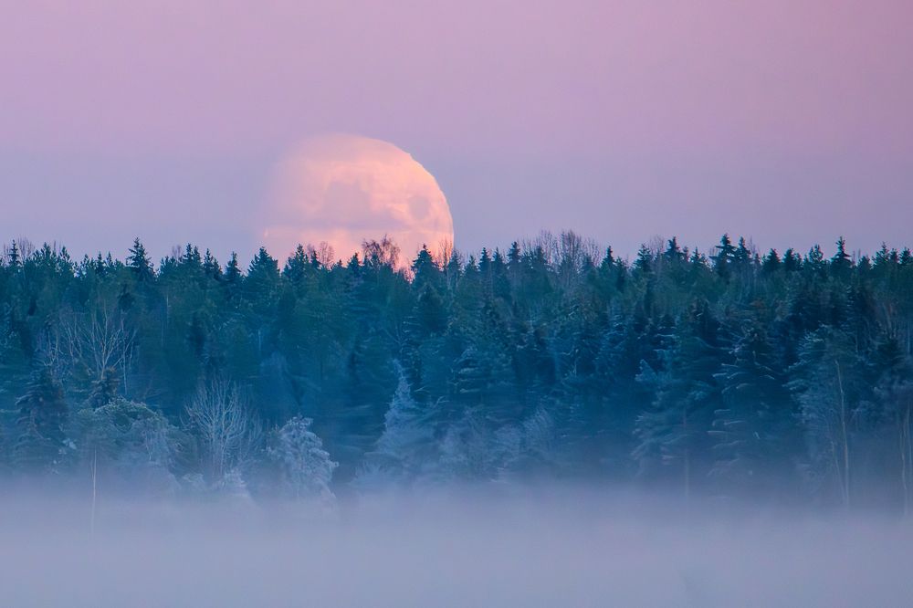 Photograph by Katrin Lillenthal