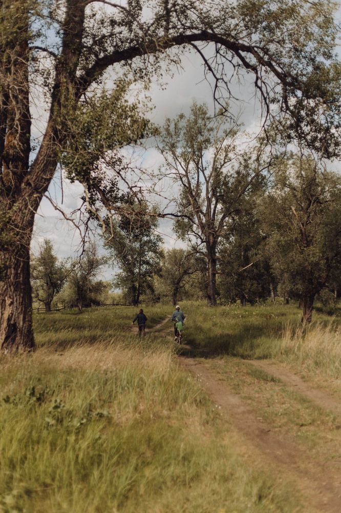 Прогулка