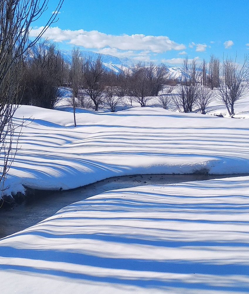 Photograph by Орынбек Асилбаев