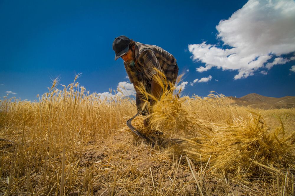 Photograph by amir ali navadeh shahla