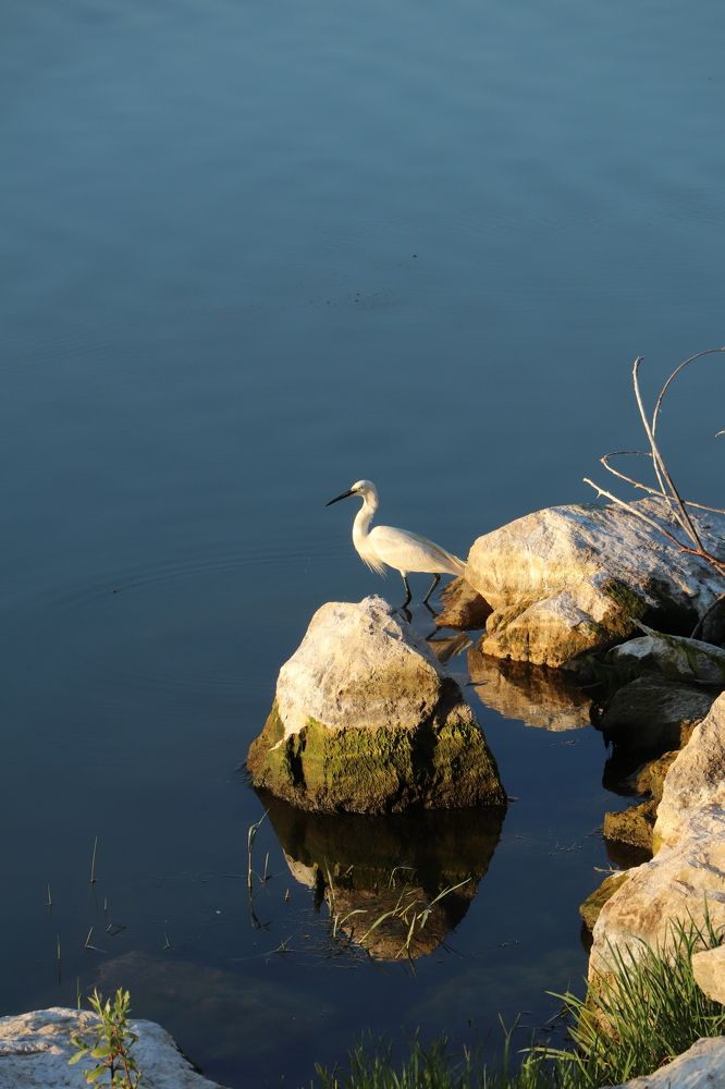 Photograph by Buket Demirel