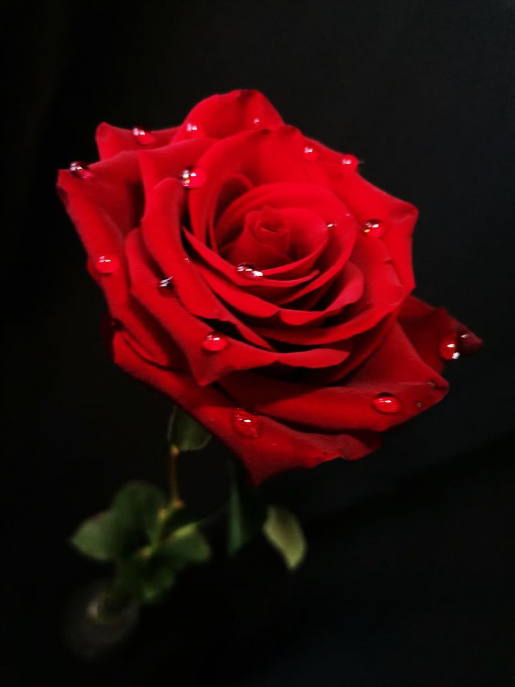 Photograph by Лариса Натальская