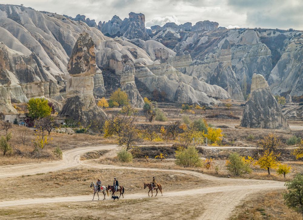 Photograph by Савчук Сергей