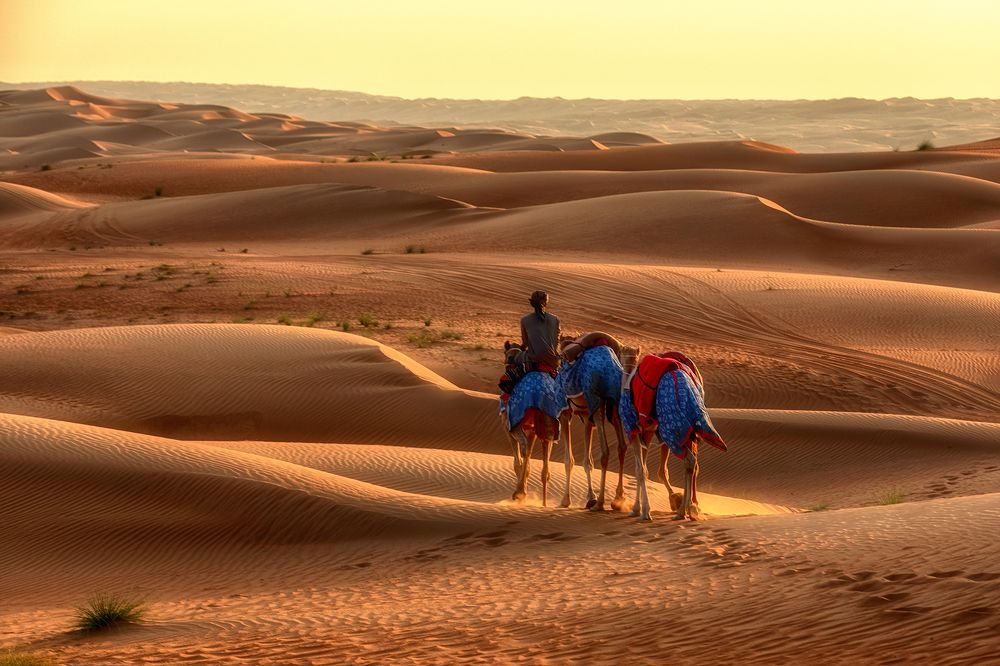 Photograph by Усманов Рашид