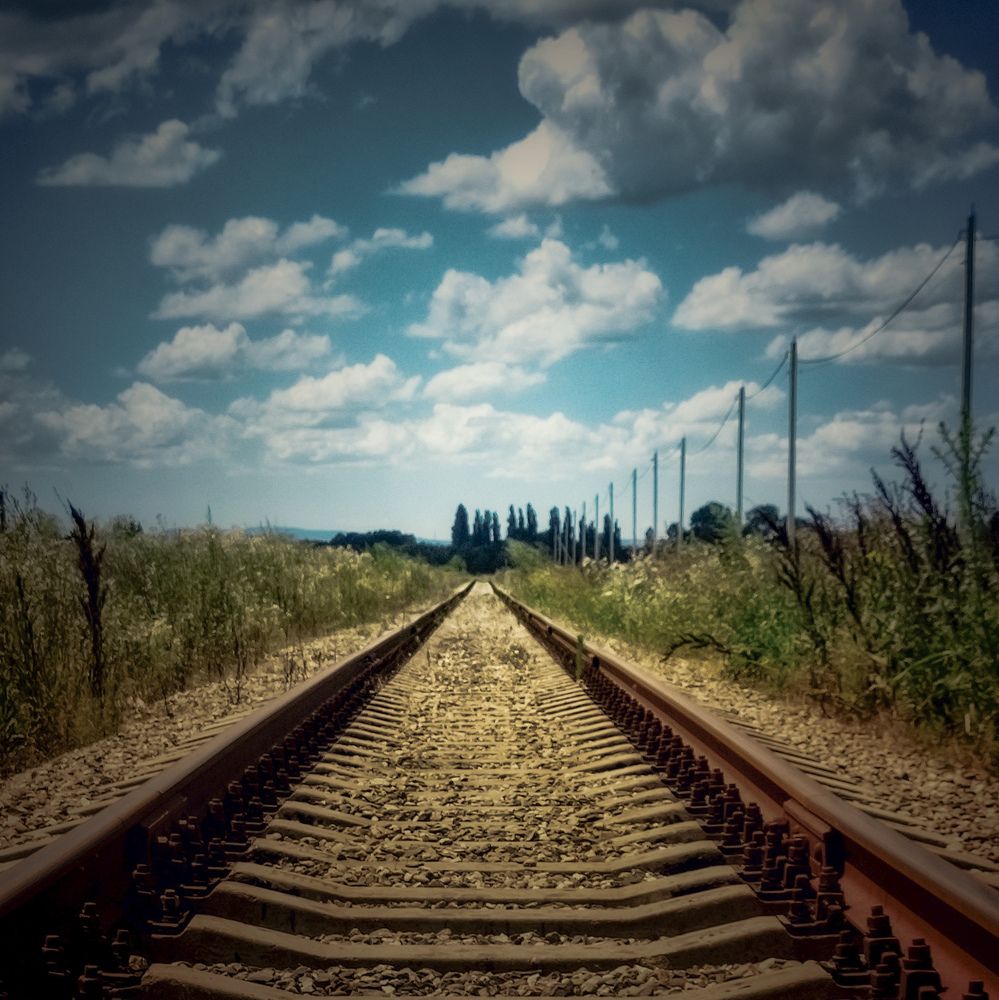 Photograph by Виктория Вялкова