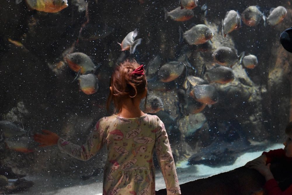 Photograph by Татьяна Юдина