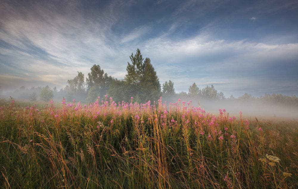 Photograph by Зеленько Дмитрий