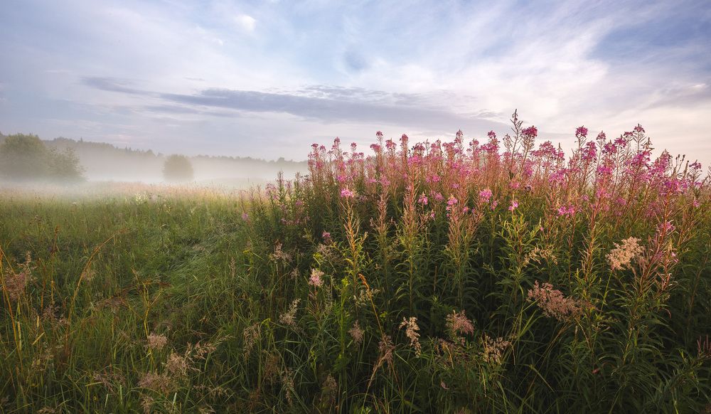 Photograph by Зеленько Дмитрий