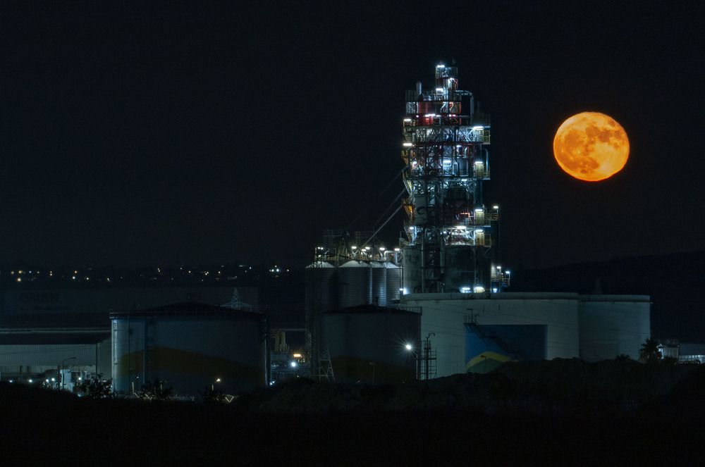 Photograph by Ольга Золототрубова