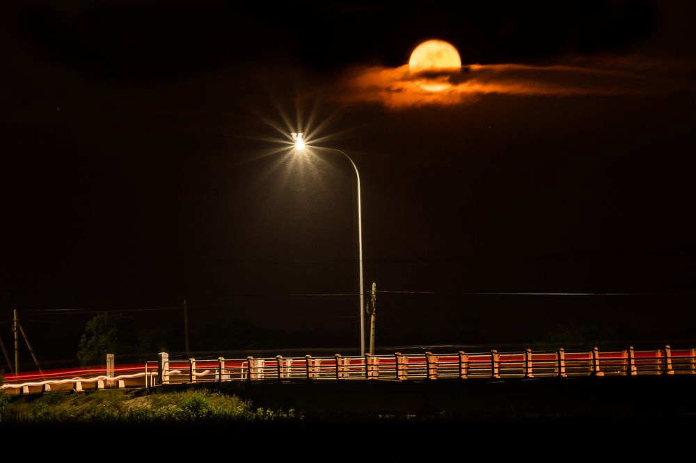 Photograph by  Ahamed Jazif