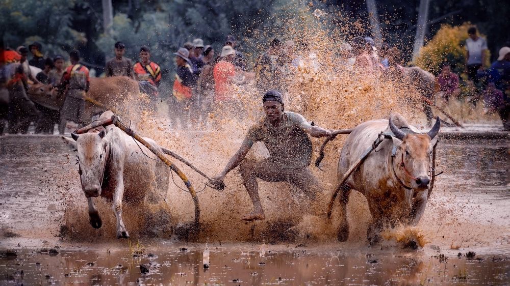 Photograph by Henri Fitriadi