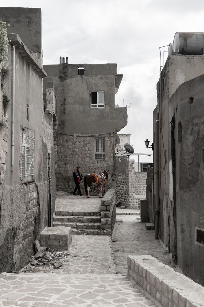 Photograph by Викторио