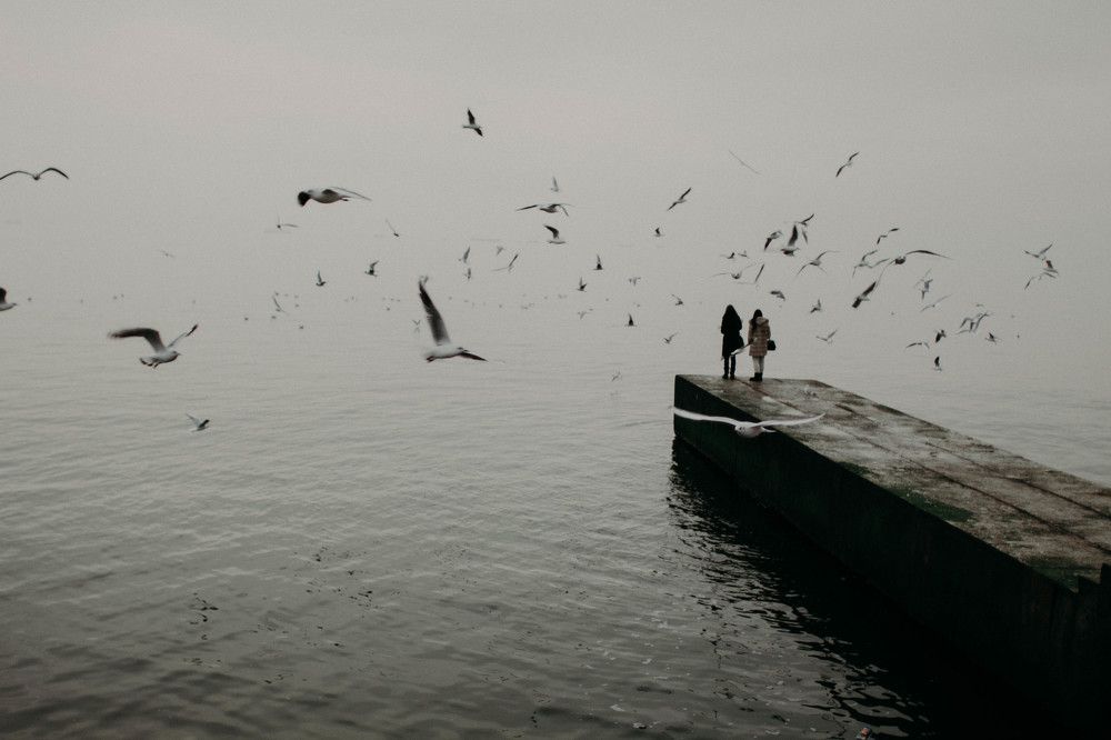 Photograph by Тишков Михаил