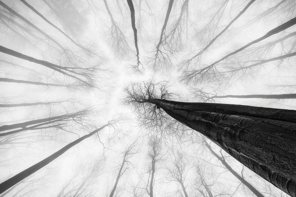 Photograph by Pavlasek Tom