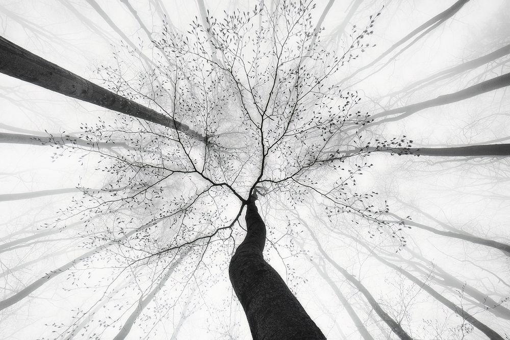 Photograph by Pavlasek Tom