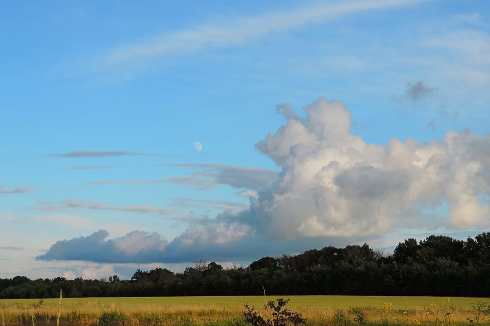 Photograph by Мария Широких