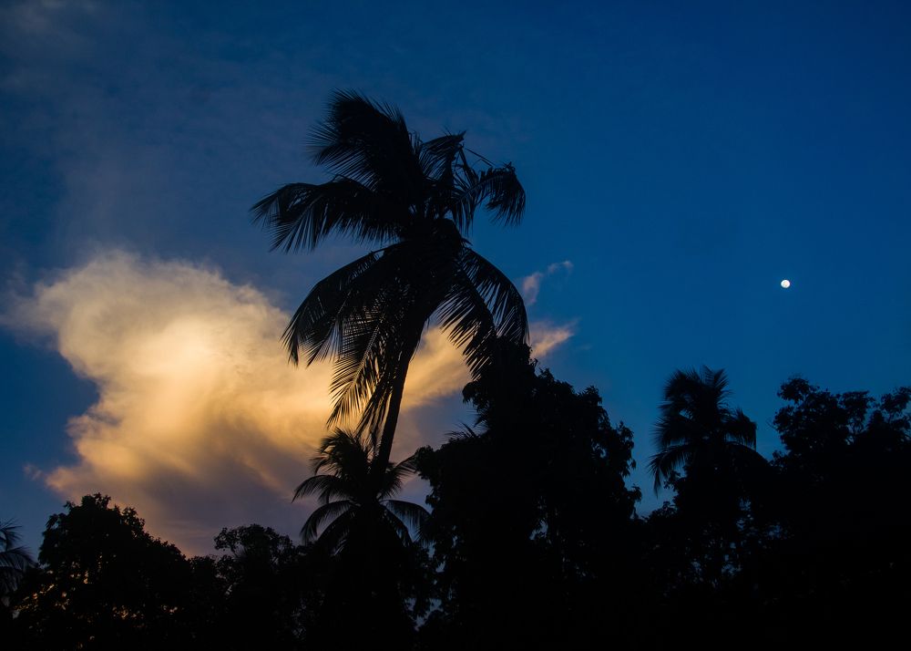 Photograph by Kapilesh Gujarathi