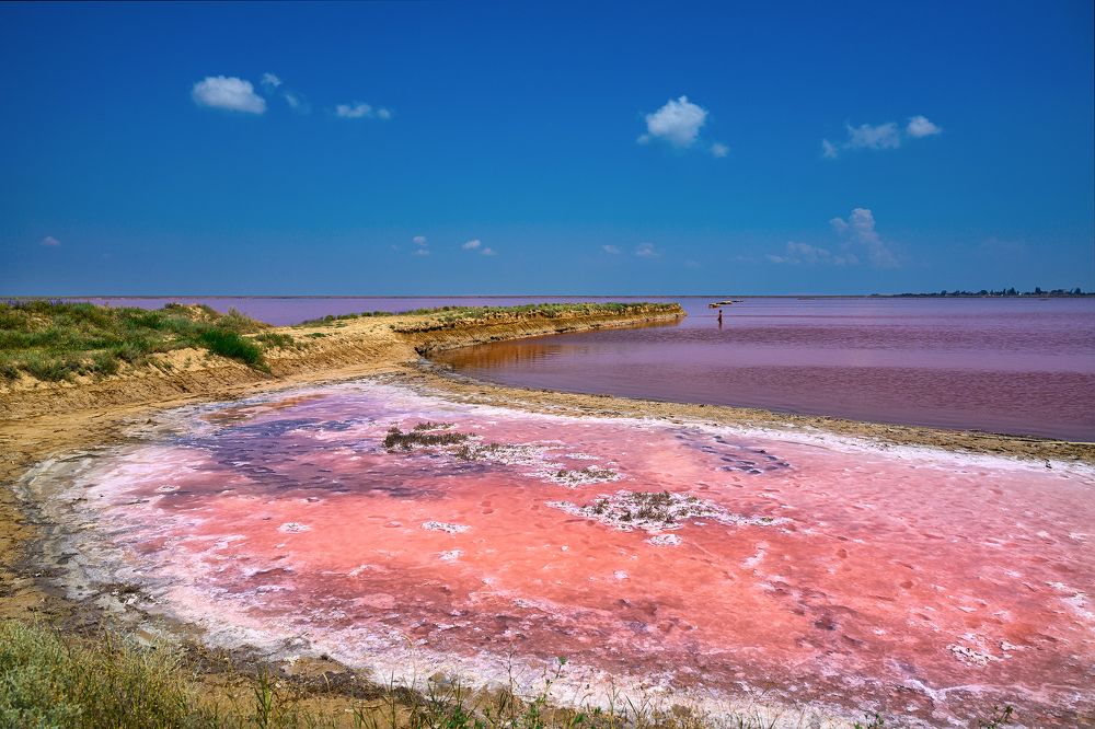 Photograph by Елена Чистякова