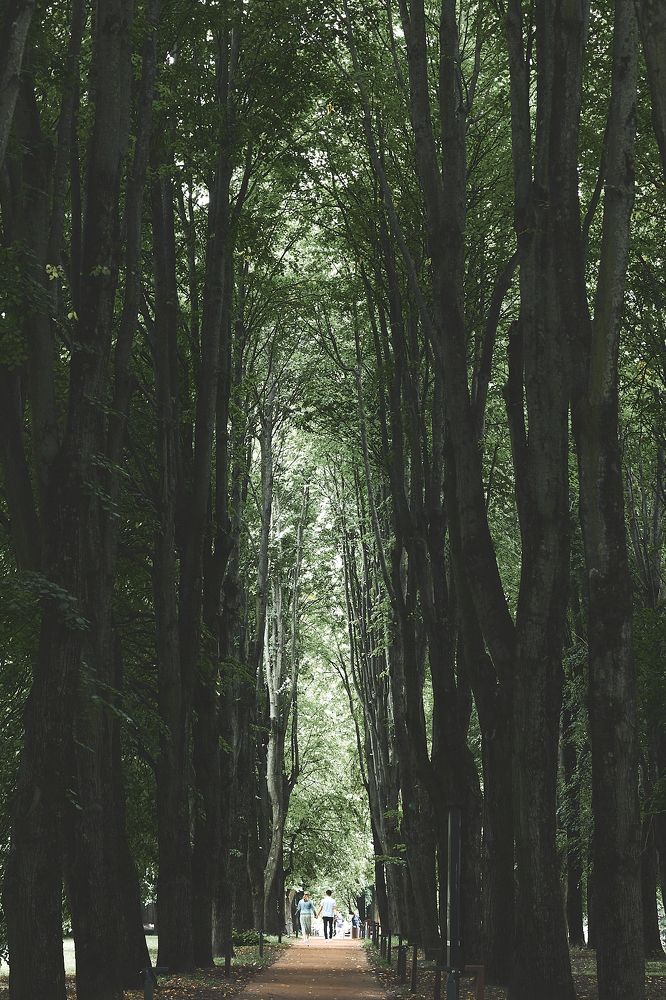 Фотография автора Бороненков Вадим