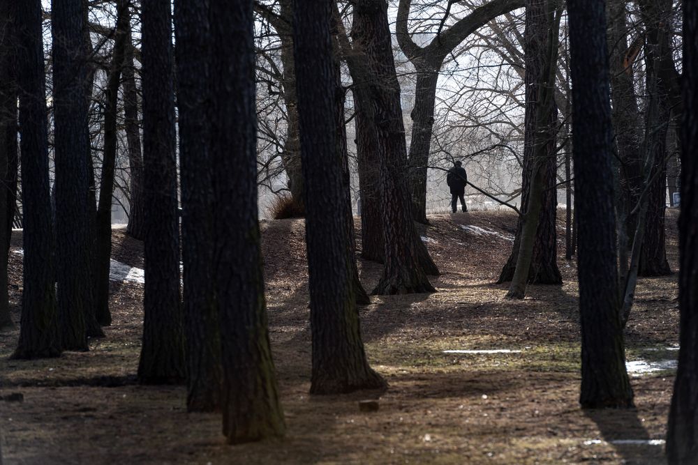 Photograph by Юлия Яровая