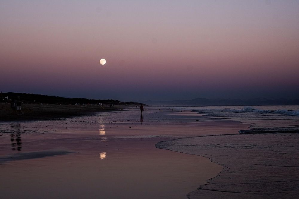 Photograph by Amelia Pardo