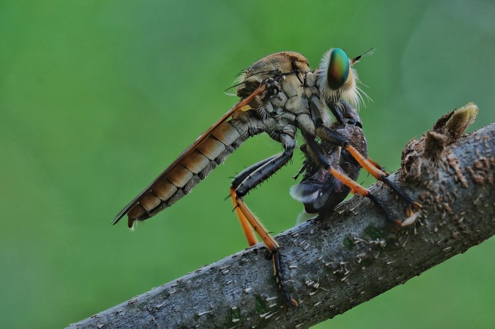 Photograph by catur handoko