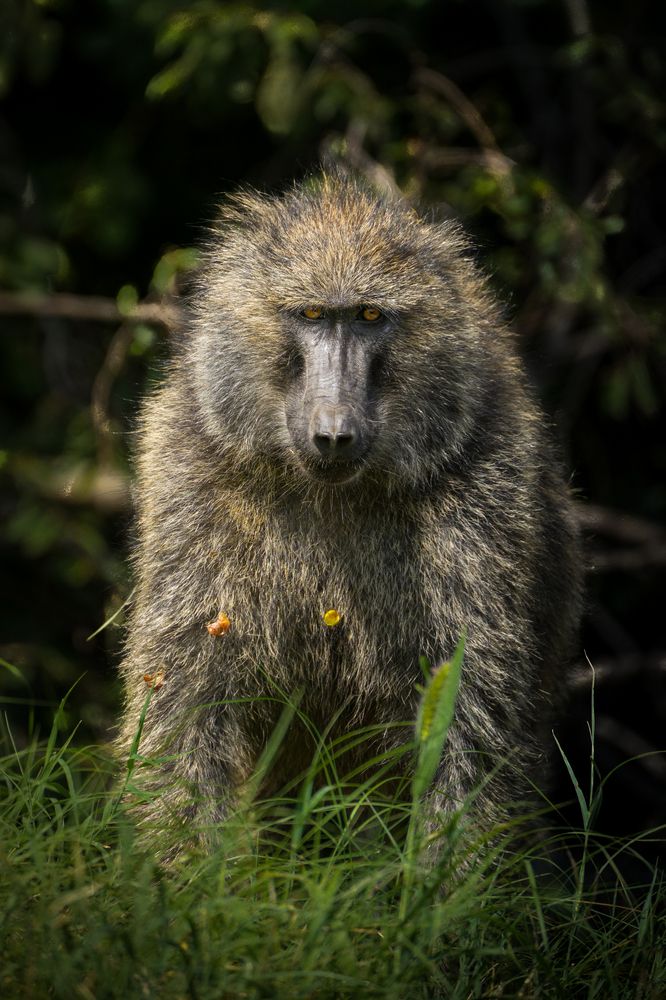 Photograph by Gimantha Perera