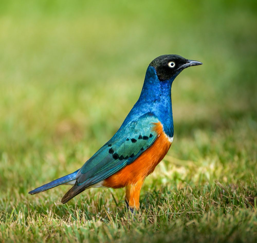 Photograph by Gimantha Perera