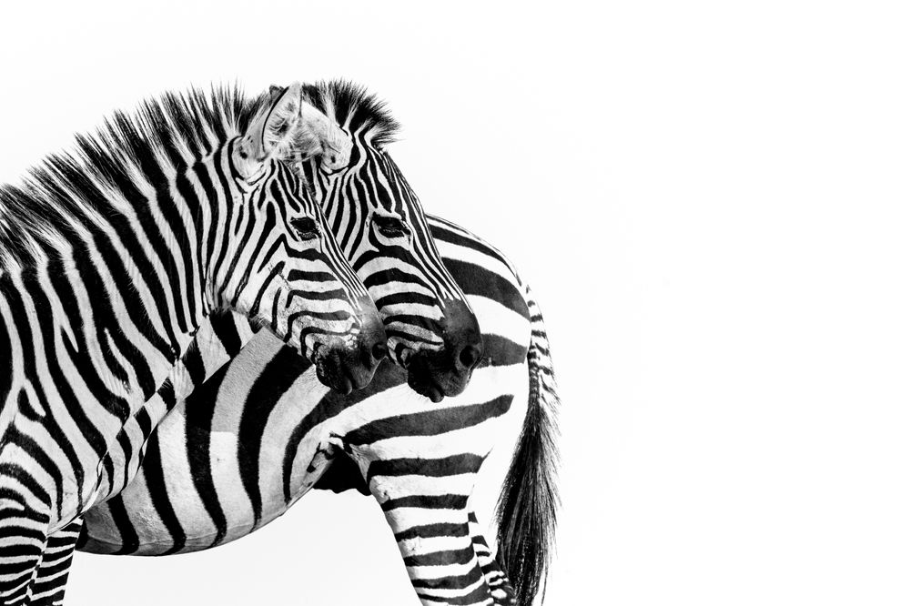 Photograph by Gimantha Perera