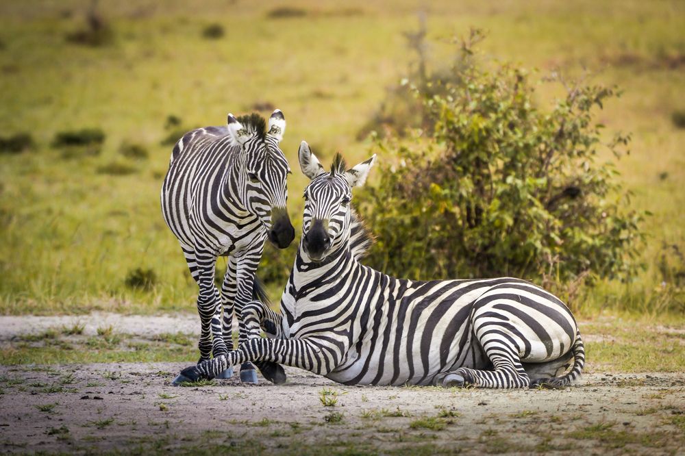 Photograph by Gimantha Perera