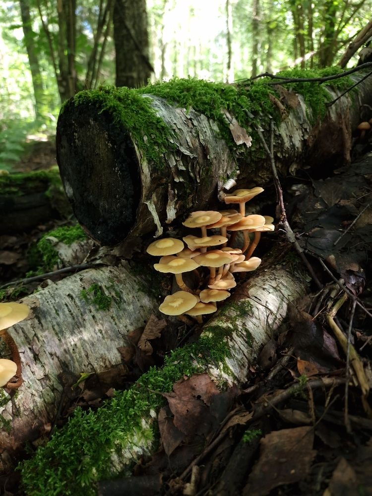 Фотография автора Ольга