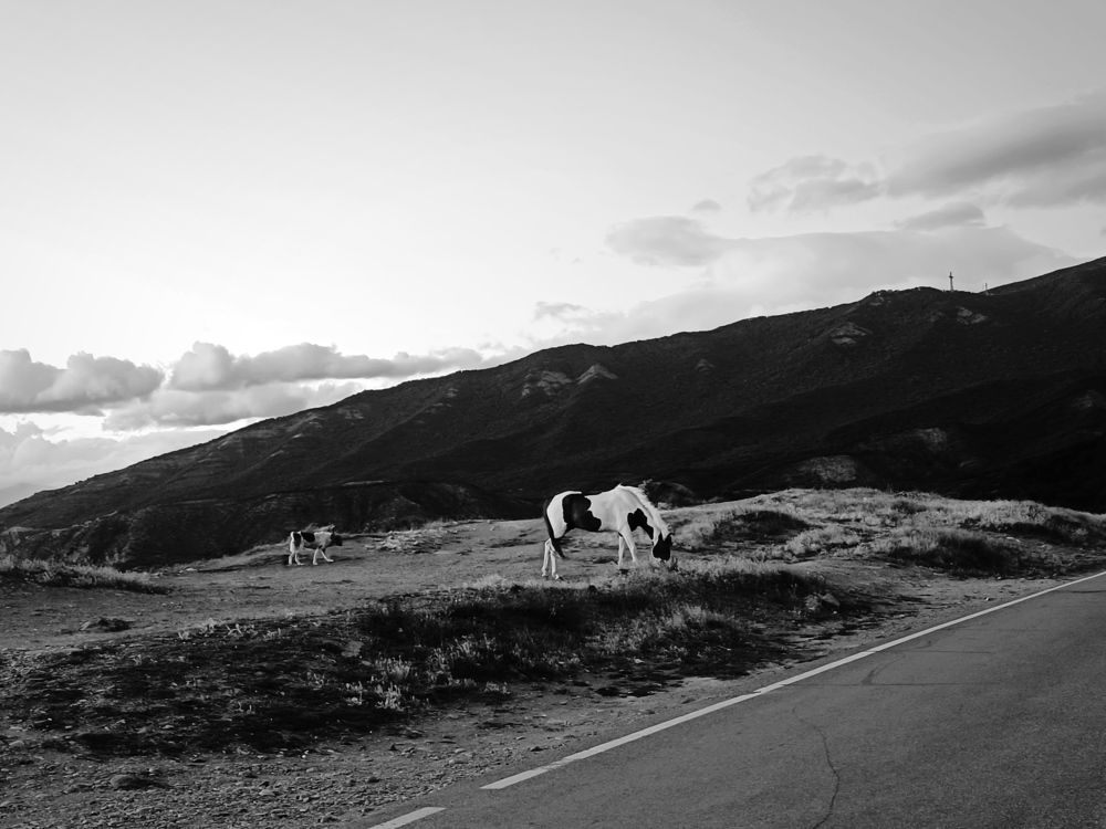 Photo #9377747