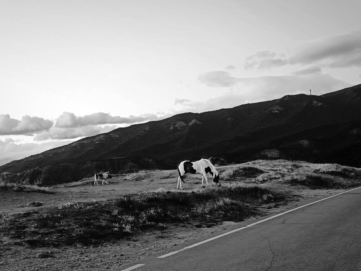 Photo #9377747